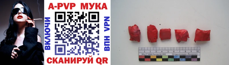 Альфа ПВП СК КРИС  Мариинский Посад 