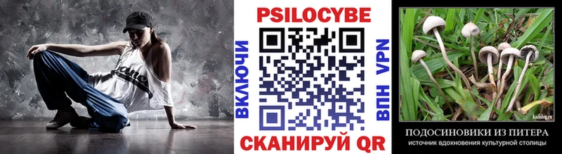 Галлюциногенные грибы Psilocybe  наркошоп  Мариинский Посад 